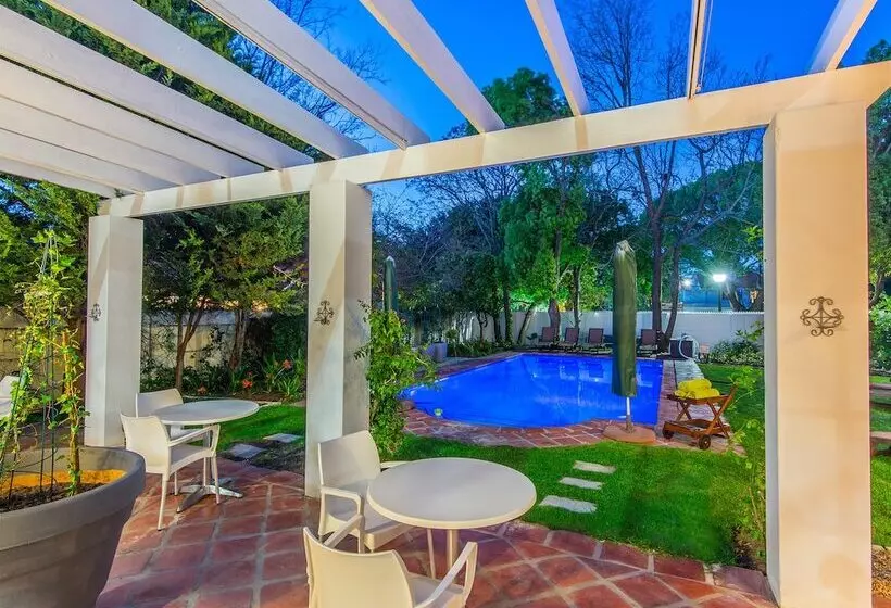 Fotos del hotel Summerwood Guest House:  8