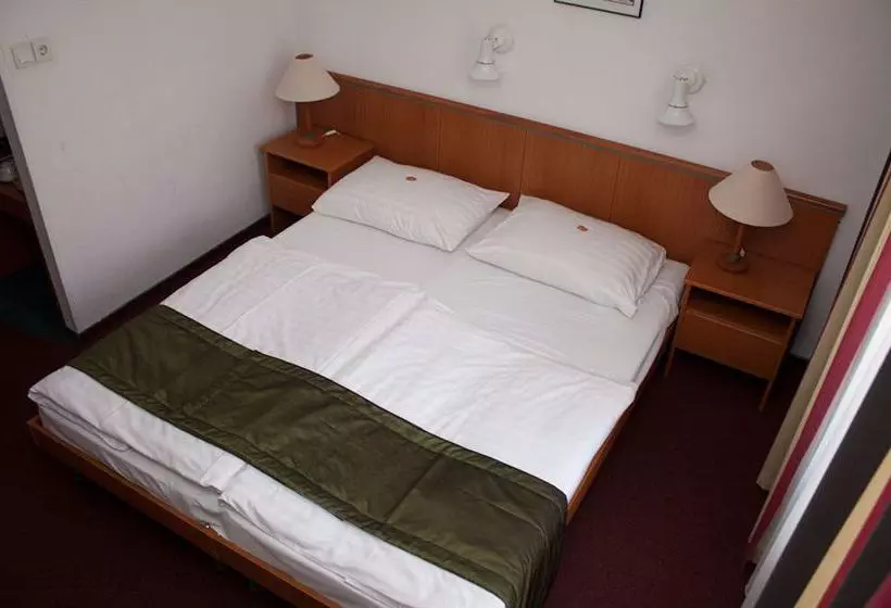 Fotos del hotel Hunguest Hotel Griff:  16