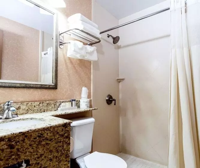 Fotos del hotel Anchor Inn:  6