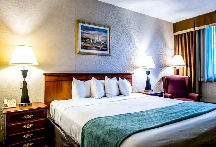 Fotos del hotel Anchor Inn:  8