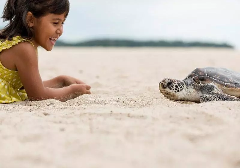 Fotos del hotel Angsana Laguna Phuket:  7