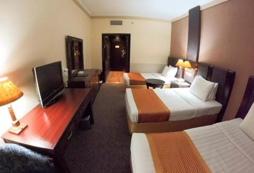 Fotos del hotel Mayfair:  17