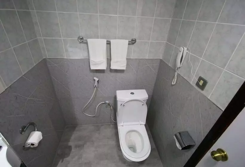Fotos del hotel Mayfair:  7