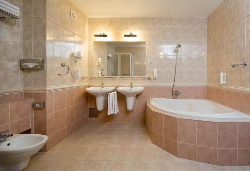 Fotos del hotel Orea Spa  Palace Zvon:  8