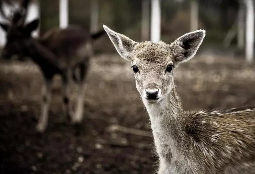 Fotos del hotel Curia Palace, Hotel Spa & Golf:  18