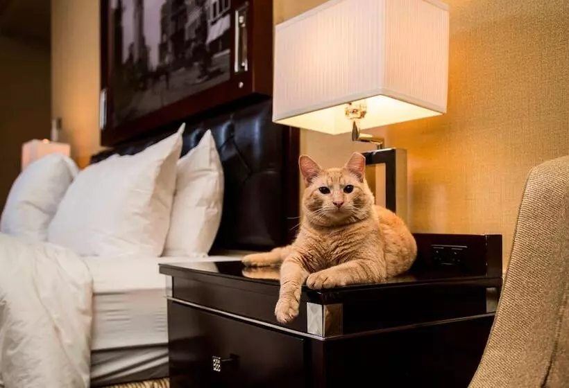 Fotos del hotel The Algonquin Hotel Times Square, Autograph Collection:  14