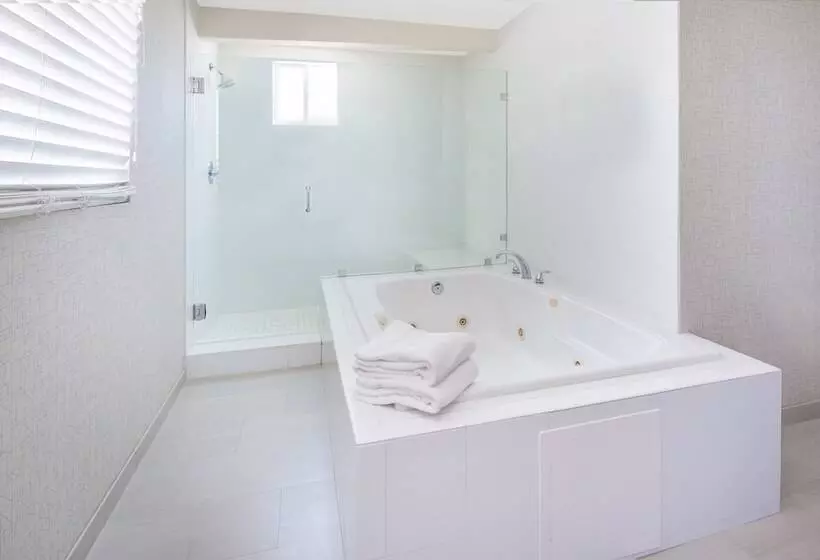 Fotos del hotel Holiday Inn Express  & Suites San Diego Airport  Old Town, An Ihg:  7