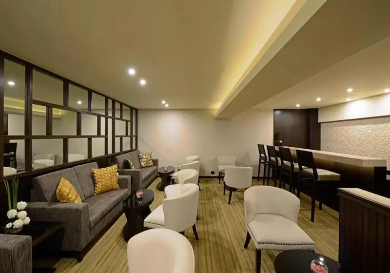 Fotos del hotel Sun-n-sand Mumbai Juhu Beach:  3