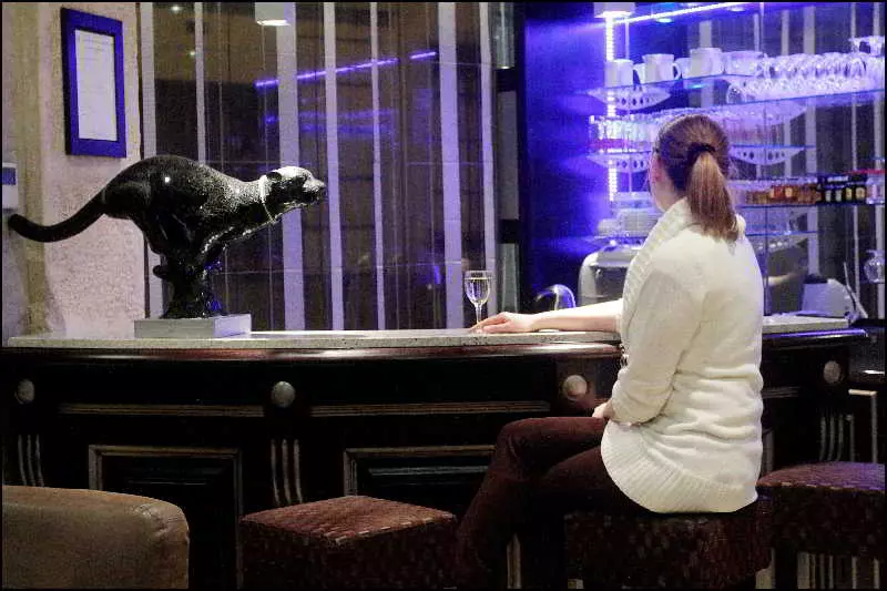 Fotos del hotel Grand Hotel Francais:  6