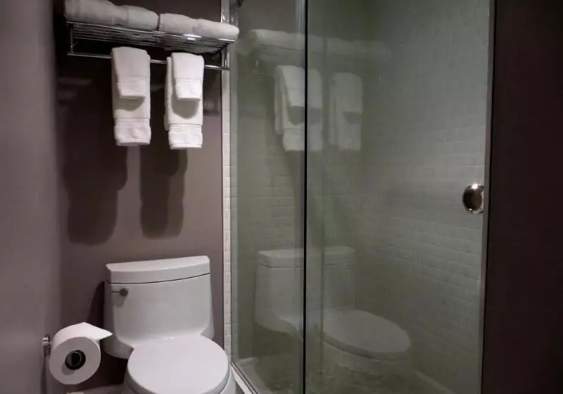 Fotos del hotel Oasis At Gold Spike  Adults Only:  13