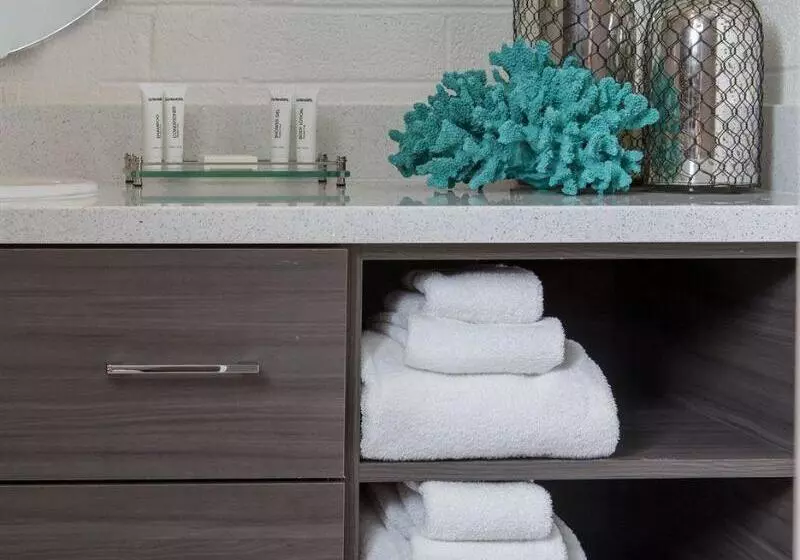 Fotos del hotel Oasis At Gold Spike  Adults Only:  17