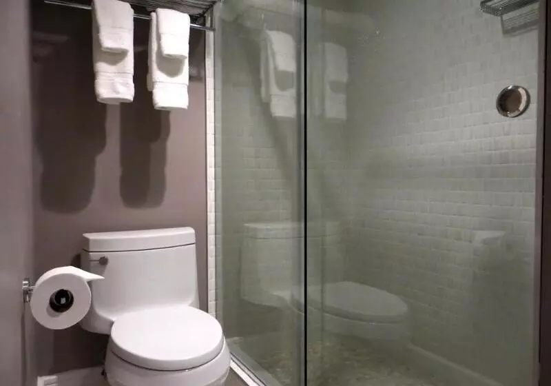 Fotos del hotel Oasis At Gold Spike  Adults Only:  8