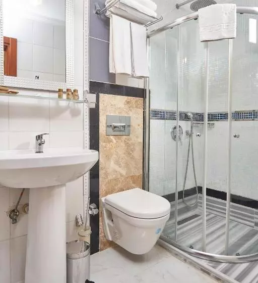 Fotos del hotel Amber:  6