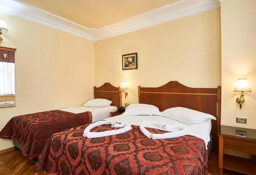 Fotos del hotel Amber:  7