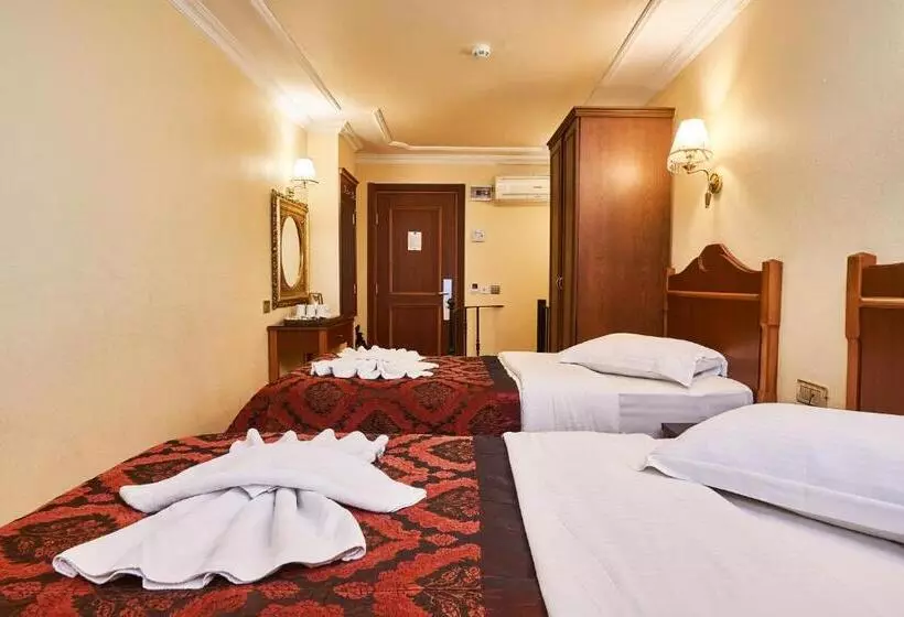 Fotos del hotel Amber:  15