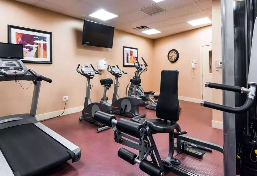 Fotos del hotel Best Western Plus Casino Royale  Center Strip:  4