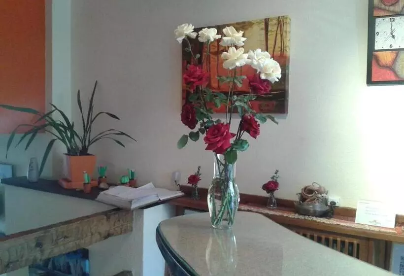 Fotos del hotel Aconcagua:  16