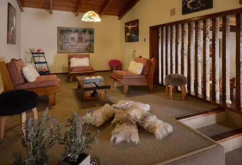 Fotos del hotel Aconcagua:  13