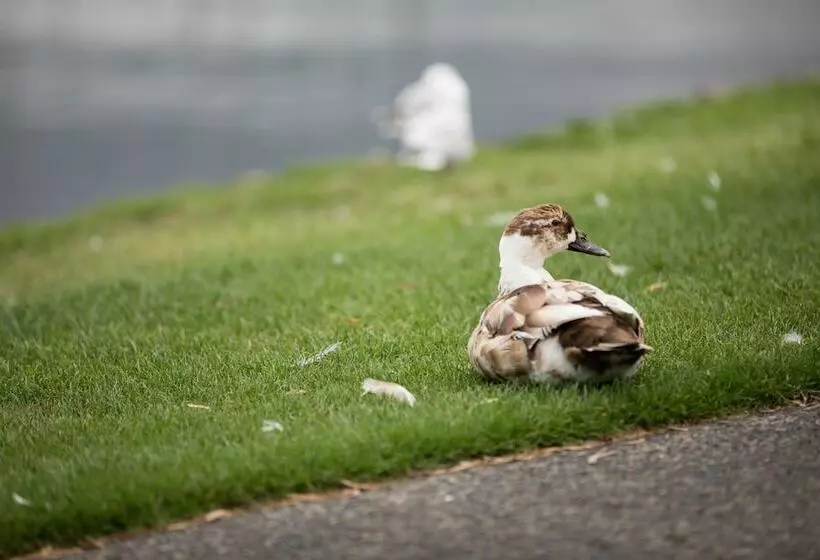 Fotos del hotel Wrest Point:  9