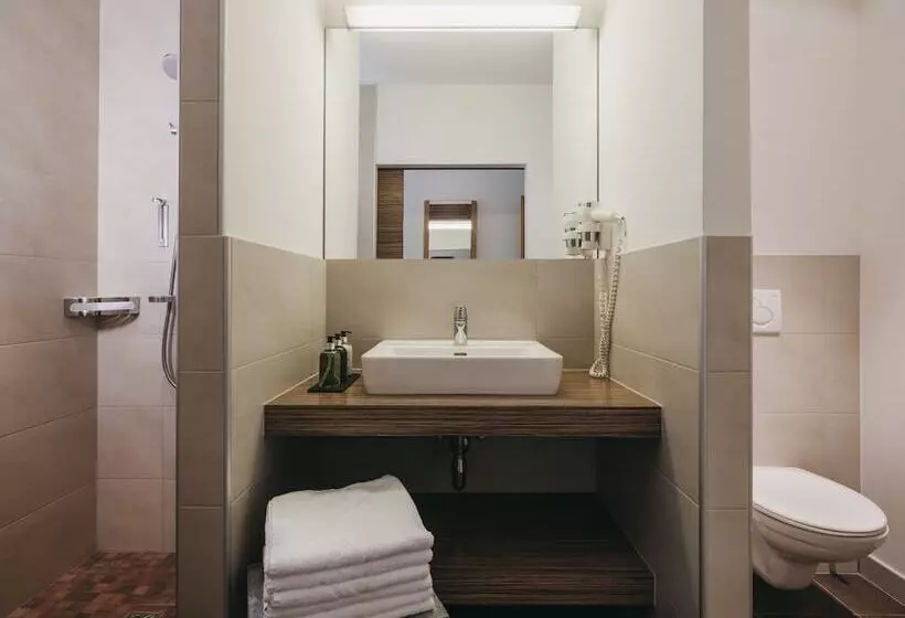 Fotos del hotel Vaya Zell Am See:  15