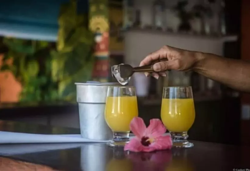 Fotos del hotel Barracuda Resort:  14