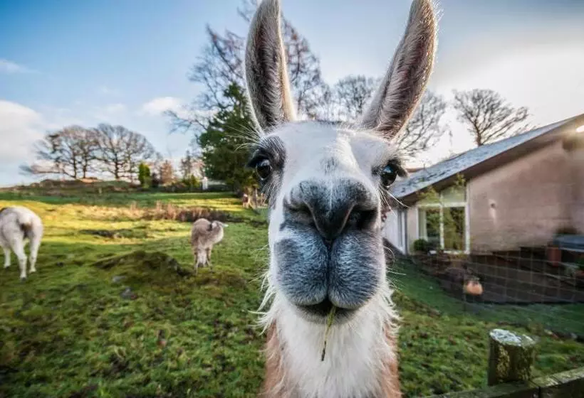 Fotos del hotel Gilpin Hotel & Lake House:  10