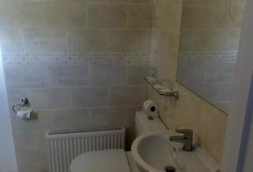 Fotos del hotel The Norfolk:  8