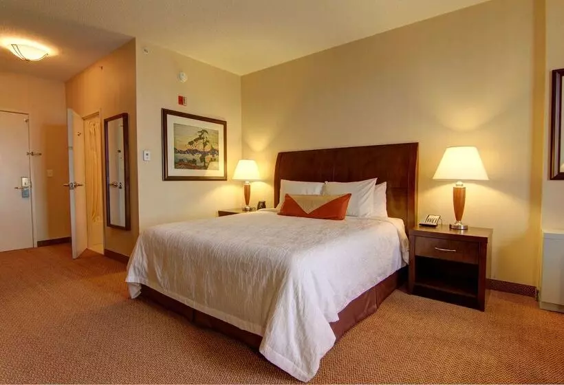 Fotos del hotel Hilton Garden Inn Calgary Airport:  4