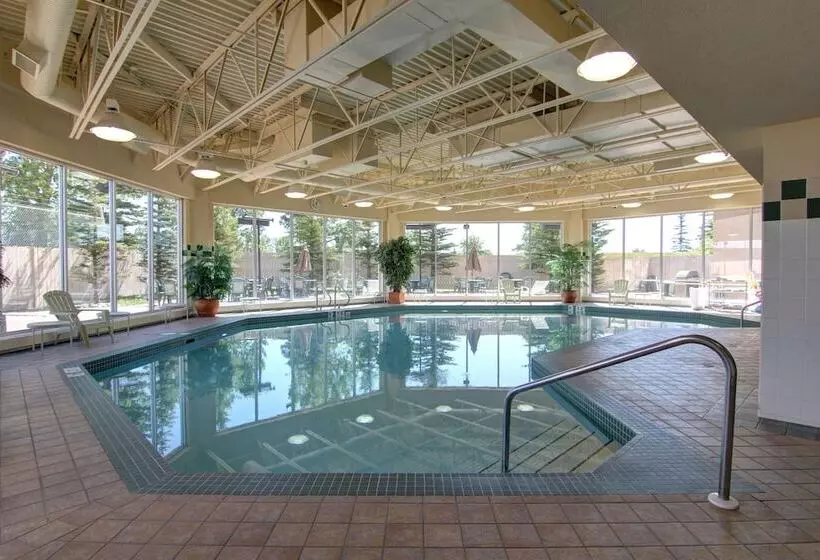 Fotos del hotel Hilton Garden Inn Calgary Airport:  13