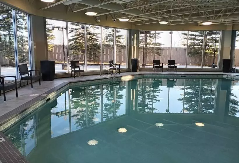 Fotos del hotel Hilton Garden Inn Calgary Airport:  5