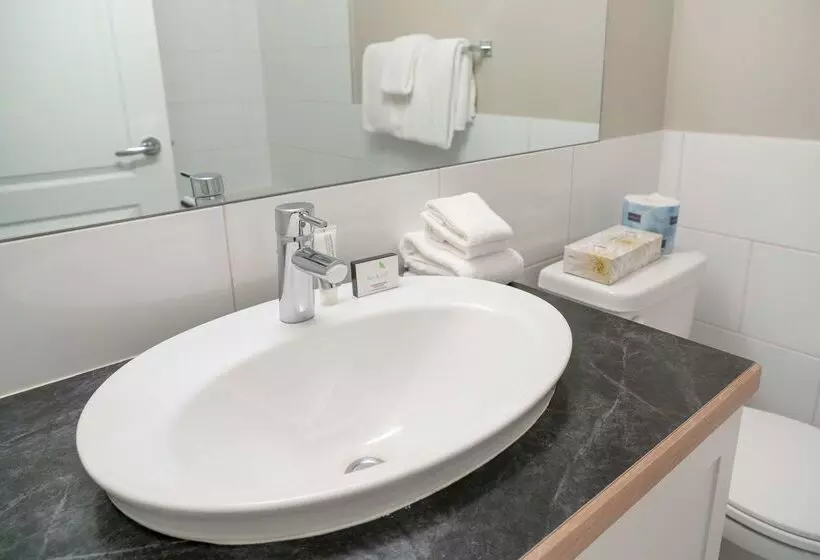 Fotos del hotel Red Carpet Inn:  12