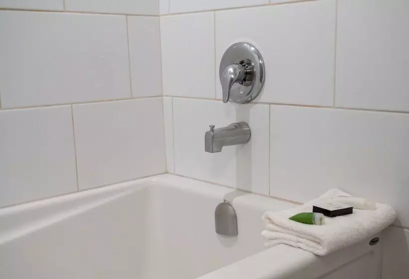 Fotos del hotel Red Carpet Inn:  14