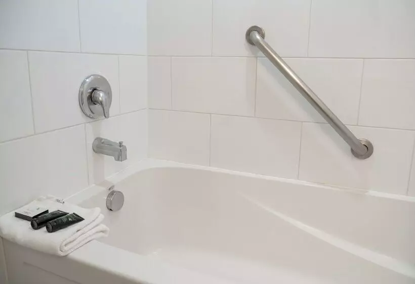 Fotos del hotel Red Carpet Inn:  10