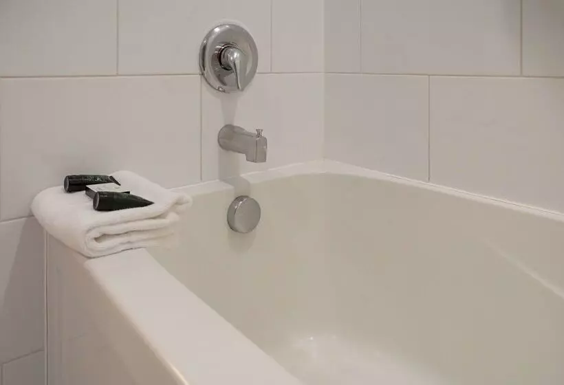 Fotos del hotel Red Carpet Inn:  16