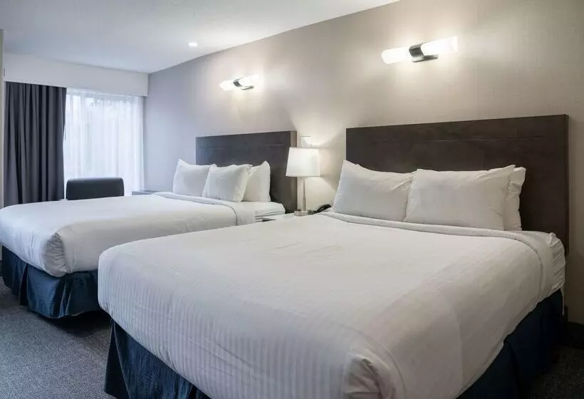 Fotos del hotel Red Carpet Inn:  23