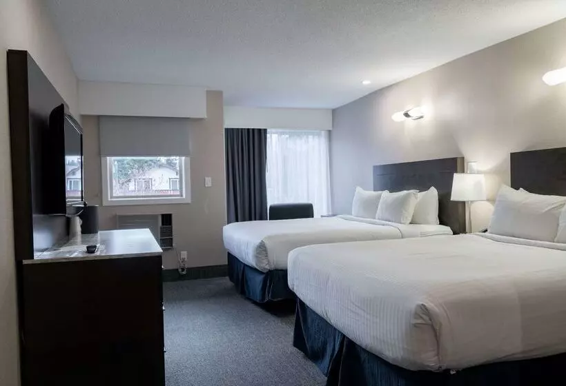 Fotos del hotel Red Carpet Inn:  21