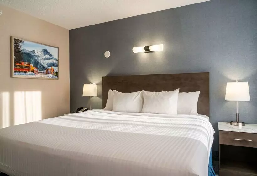 Fotos del hotel Red Carpet Inn:  11