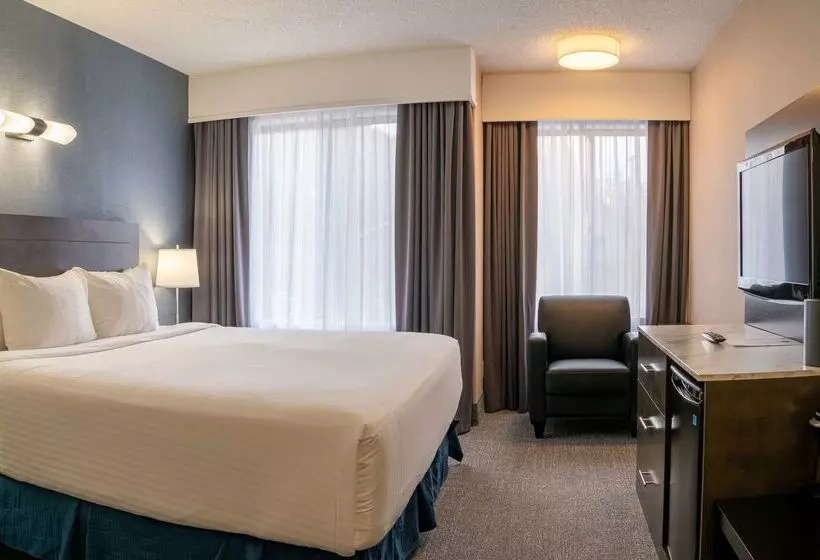 Fotos del hotel Red Carpet Inn:  19