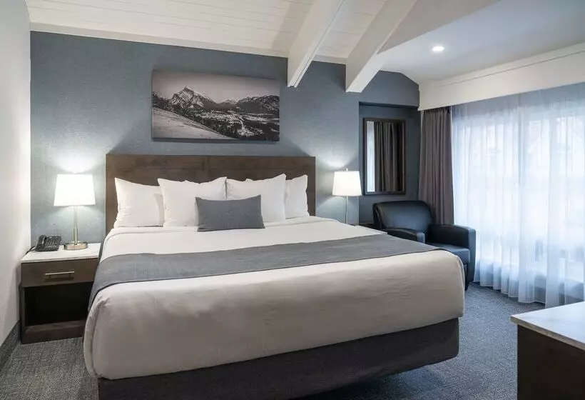 Fotos del hotel Red Carpet Inn:  9