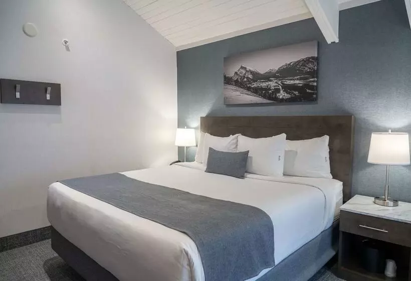 Fotos del hotel Red Carpet Inn:  2