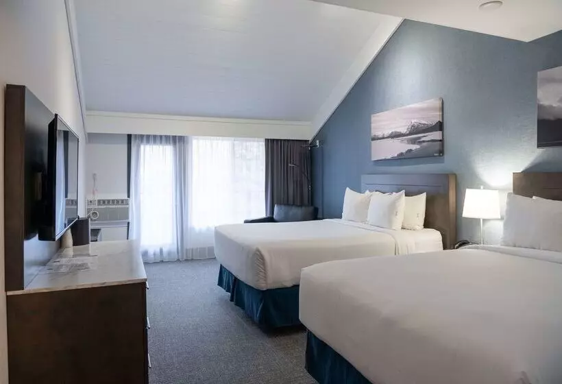 Fotos del hotel Red Carpet Inn:  6