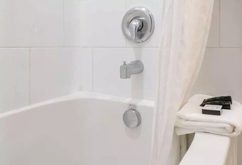 Fotos del hotel Red Carpet Inn:  18