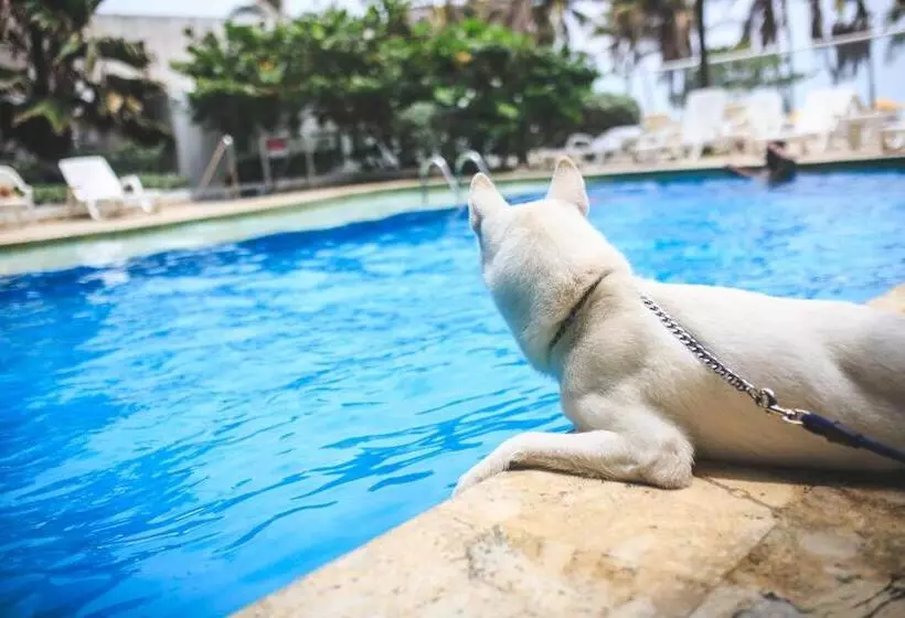 Fotos del hotel Playa Club:  18