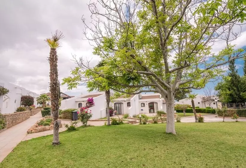 Fotos del hotel The Olive Tree:  5