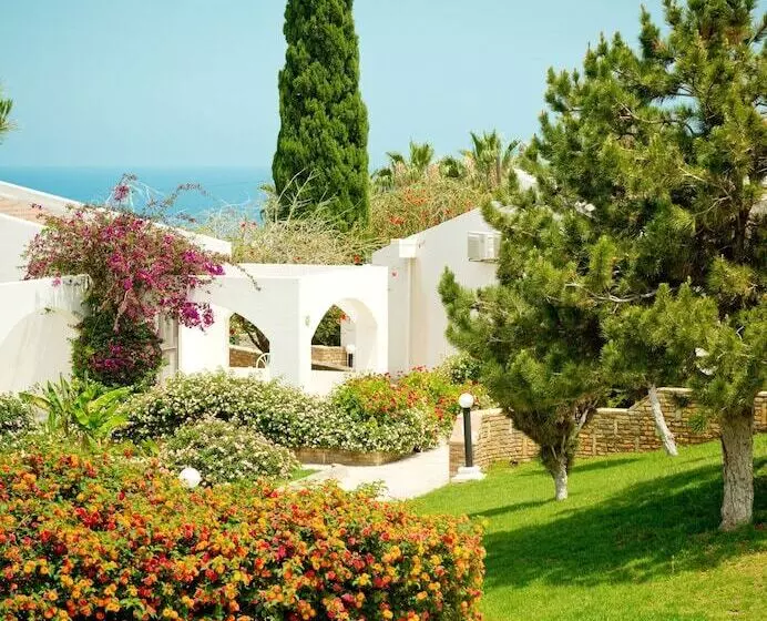 Fotos del hotel The Olive Tree:  14