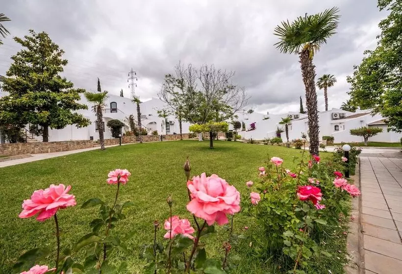 Fotos del hotel The Olive Tree:  4