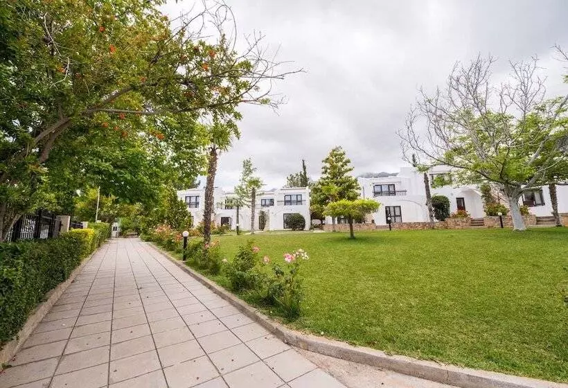 Fotos del hotel The Olive Tree:  15