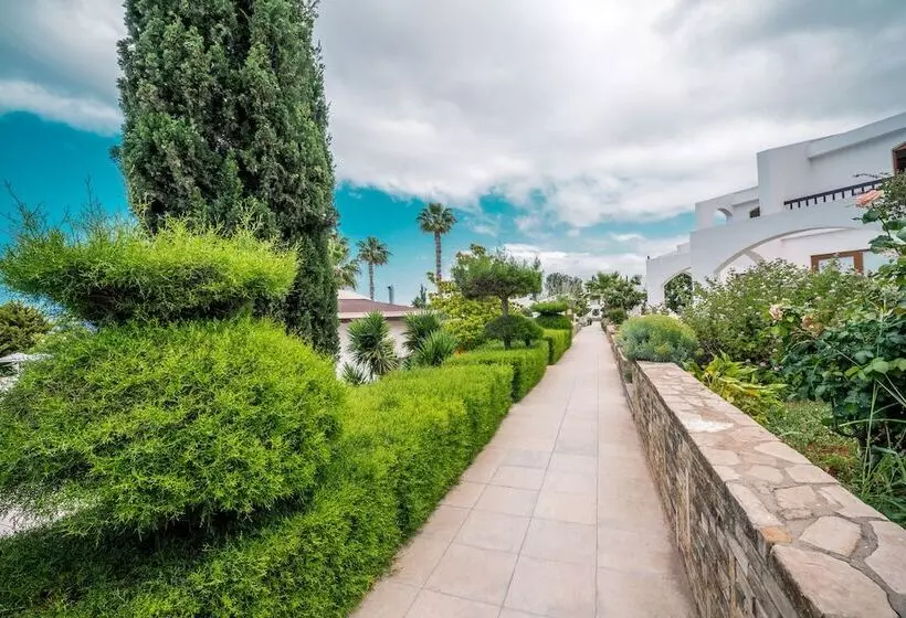 Fotos del hotel The Olive Tree:  10