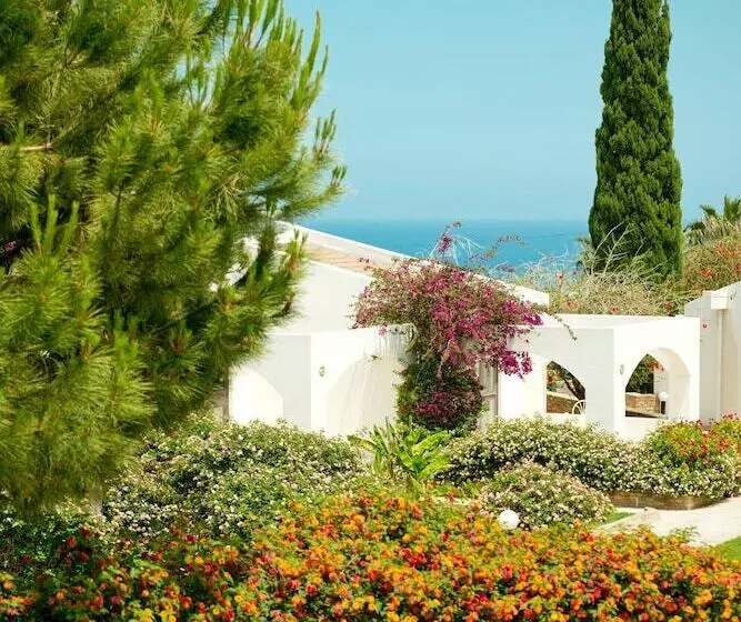 Fotos del hotel The Olive Tree:  6