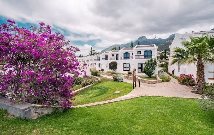 Fotos del hotel The Olive Tree:  11